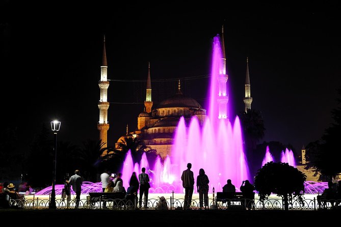 1-Day Best of Istanbul Private Tour with the Best Local Guides - Who will get the most from this tour