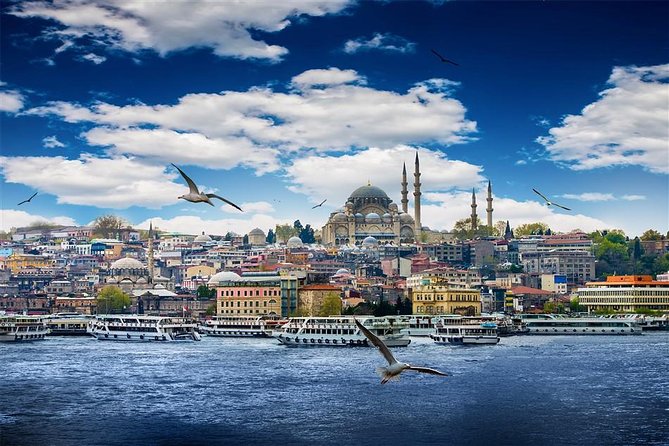 14 Days Private Turkey Tour From Istanbul - Priene, Miletus, and the oracle at Didyma