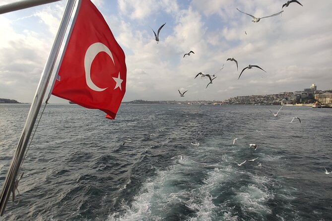 2-Hour Bosphorus Cruise in Istanbul with Guide - Maiden’s Tower and the city’s famous silhouettes