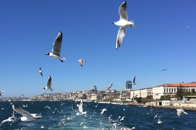 2-Hour Private Luxury Yacht Cruise on Bosphorus with Transfers - Drinks, comfort, and seasickness