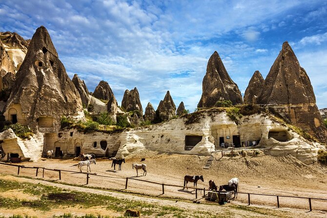 4 Day Cappadocia and Gobeklitepe Private Tour from Istanbul - Is this private tour worth the price?