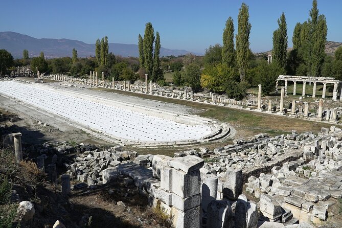 5 days Private Tour of Western Turkey (Troy-Pergamon-Ephesus-Didyma-Pamukkale) - Food, Hotels, and What the Price Leaves Out