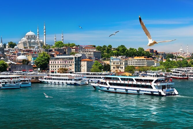 6 Days Guided Istanbul and Cappadocia Tour - Day 6: Airport transfer and the trip home