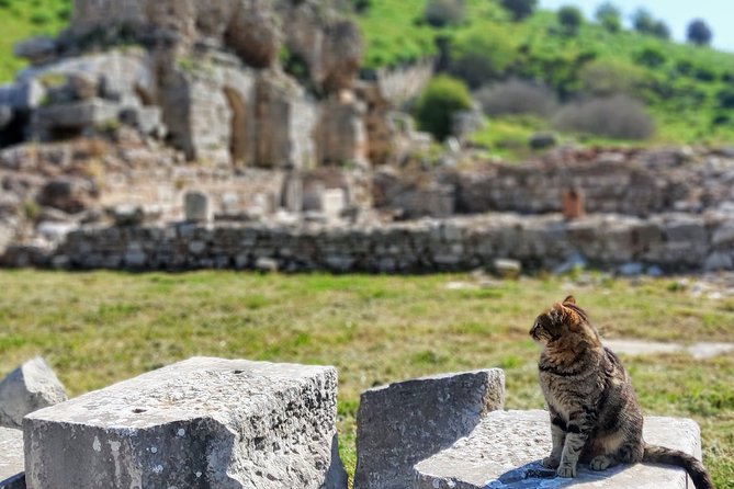 All Inclusive Private Ephesus Day Trip from Istanbul by Plane - The Flight and the Drive to Selçuk