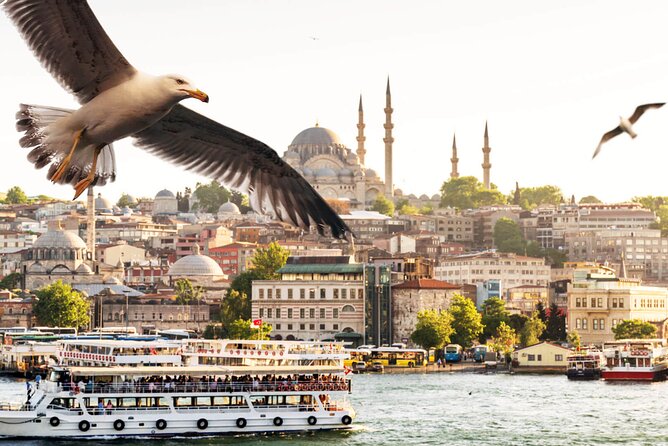 Asian Side of Istanbul Tour - Half-Day Small Group Tour - Camlica Hill for broad city views