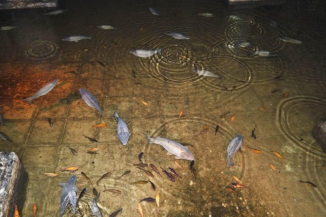 Basilica Cistern Skip the Line Ticket - Walking through the cistern
