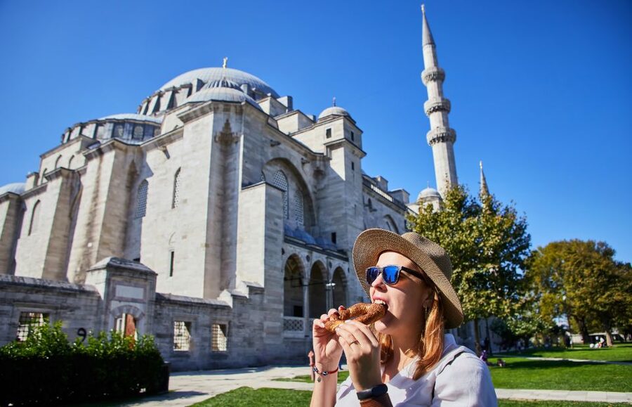 Blue Mosque: Art and Symbolism Guided Group Walking Tour - The elephant-foot pillars and architectural details