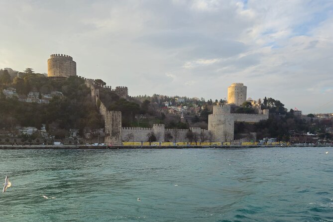 Bosphorus Boat Tour 3 Hour with Asian Side Stop in Istanbul - What makes this Bosphorus cruise worth considering
