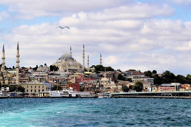 Bosphorus Cruise Tour Istanbul - Morning, afternoon, sunset, or night?