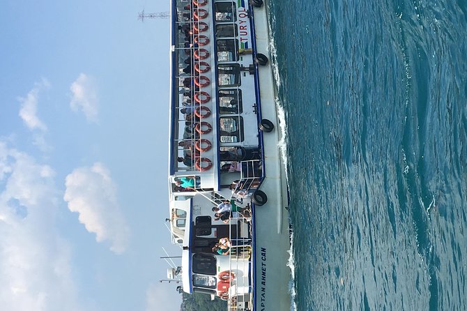 Bosphorus Cruise With Dolmabahçe Palace and Fortresses - Why this Istanbul tour works well