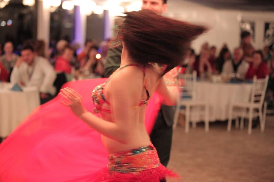 Bosphorus: Dinner Cruise with Live Performances Experience - A full program of Turkish stage performances