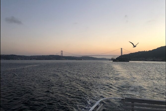 Bosphorus Explorer: 3-Hour Cruise with Asian Side Visit - The one-hour stop near Beylerbeyi