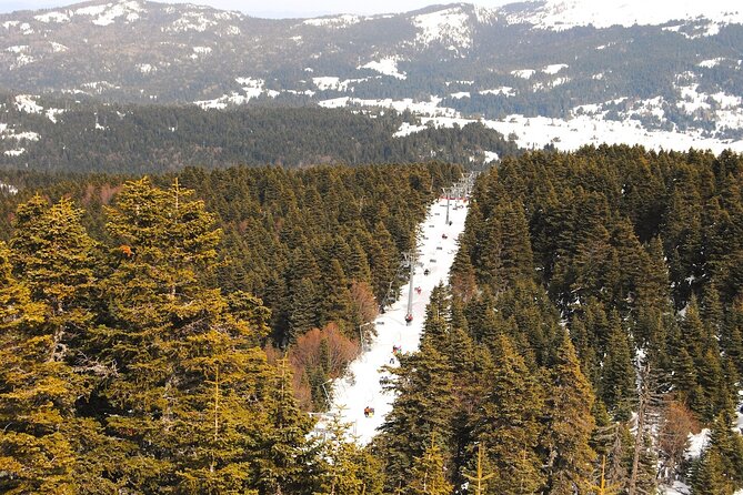 Bursa City and Uludag Mountain Day Trip with Pick up & Cable Car - Inkaya’s ancient plane tree is the most memorable roadside stop