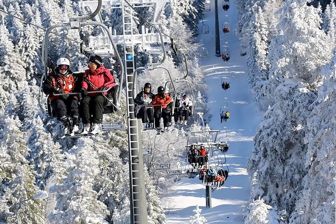 Bursa Day Trip from Istanbul with Uludag Cable Car Experience - Lunch and two hours on Uludag