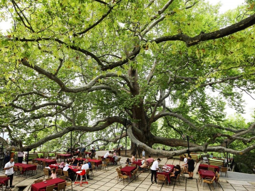 Bursa Full Day Sightseeing Tour from Istanbul - Barbecue lunch and free time in Uludağ National Park