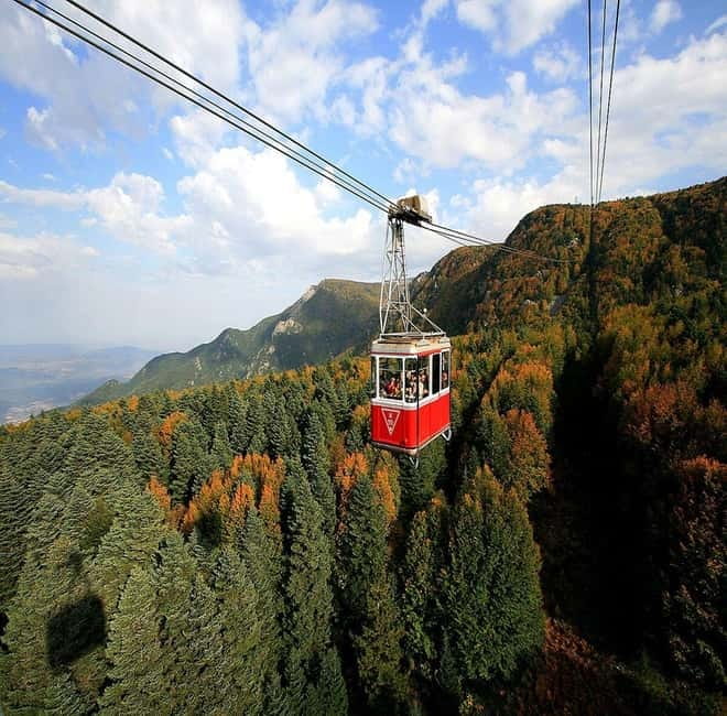 Bursa Nature Tour with Lunch & Cable Car (optional) - The 638-year-old plane tree is a short, worthwhile stop