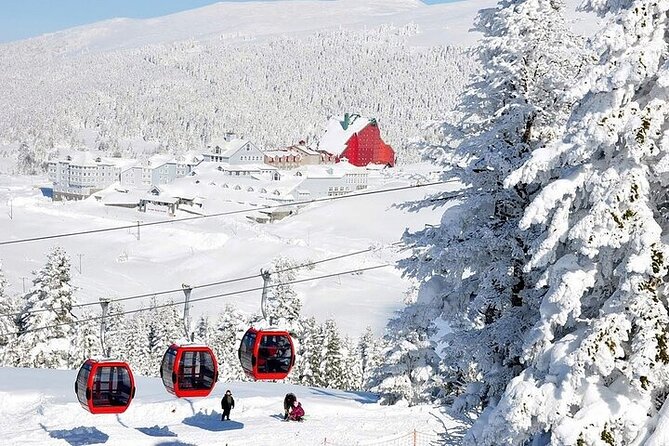 Bursa Uludag Tour From Istanbul with Lunch - Lunch in Uludağ National Park