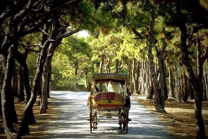 Buyukada Princes’ Island Guided Day Tour with lunch from Istanbul - Free time, beaches, and what you can really do