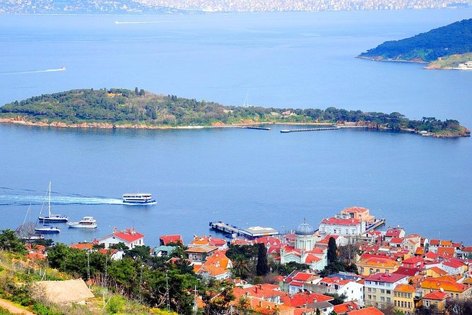 Buyukada Princes’ Island Guided Day Tour with lunch from Istanbul - Timing problems that can shape the day