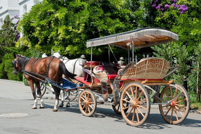 Buyukada Princes’ Island Guided Day Tour with lunch from Istanbul - The horse-drawn carriage ride and its limits