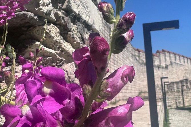 Byzantion Walk Path and City Walls of Istanbul - Why Istanbul’s land walls deserve your time