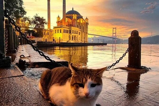 Circle Istanbul (Extraordinary Istanbul) - The ferry to Kadıköy on Istanbul’s Asian side