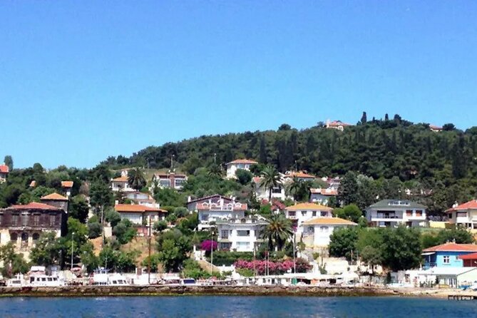 Cruise to the Princes' Islands - Choosing your afternoon on the island