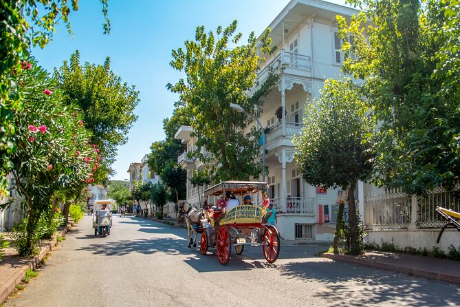 Cruise to the Princes' Islands - A fish lunch with views toward Istanbul