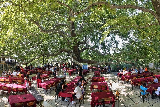 Daily Bursa Uludag Mountain & Cable Car Tour with Lunch from Istanbul - The cable-car ride down to the city