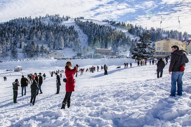 Daily Bursa Uludag Mountain & Cable Car Tour with Lunch from Istanbul - What the $50.57 price really covers
