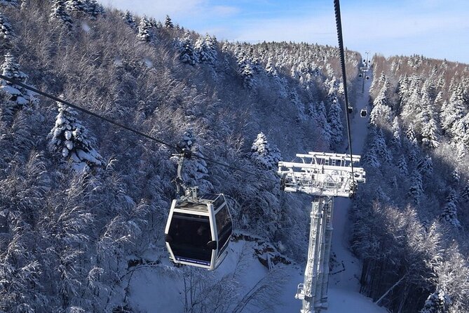 Daily Bursa Uludag Mountain & Cable Car Tour with Lunch from Istanbul - Useful booking and timing advice