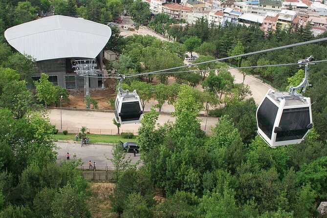 Daily Bursa Uludag Mountain & Cable Car Tour with Lunch from Istanbul - The 600-year-old Inkaya Plane Tree