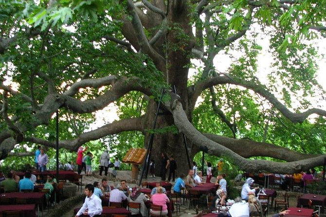 Daily Bursa Uludag Tour - Who will get the most from this tour