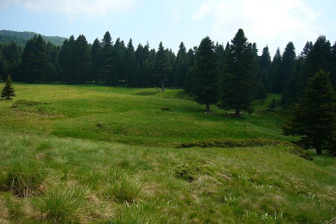 Daily Green Bursa Tour From Istanbul - Green Tomb and Mehmet Celebi
