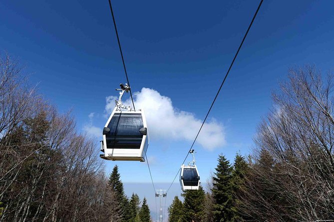 Daily Green Bursa Tour From Istanbul - Lunch on the mountain route