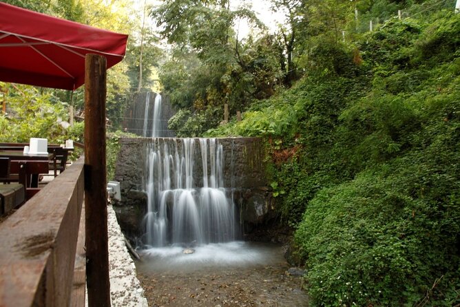 Daily Sapanca & Maşukiye & Mahmudiye Tour with Lunch from Istanbul - A long but easy escape from Istanbul