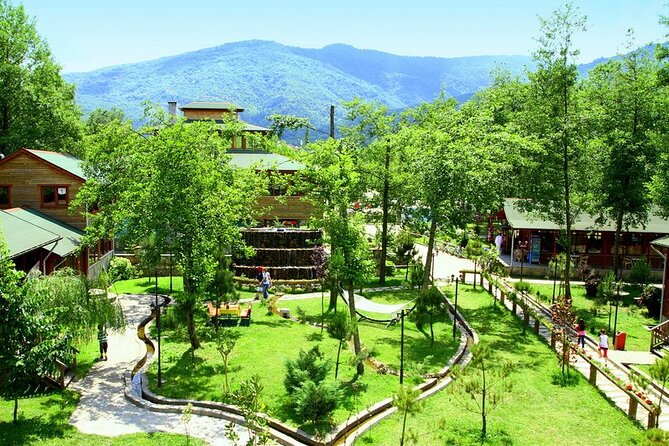 Daily Sapanca & Maşukiye & Mahmudiye Tour with Lunch from Istanbul - Maşukiye brings forests and fresh air