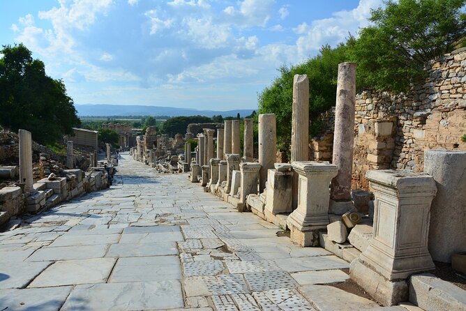 Daily Small Group Ephesus Tour From Istanbul by Flight - Seeing what remains of the Temple of Artemis