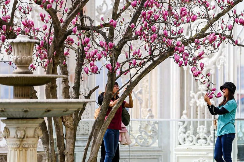 Dolmabahce Palace & Harem Fast-Track Entry with Audio Guide - How long should you spend inside?