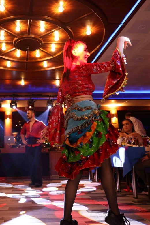 From Istanbul: Bosphorus Dinner Cruise Tavern & World Show - Who should book this evening