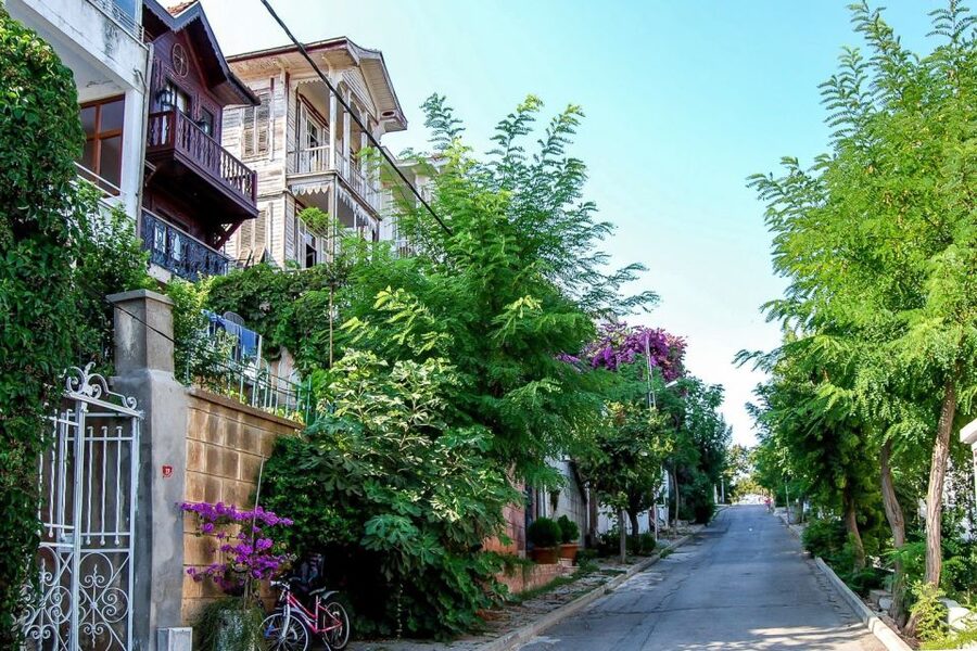 From Istanbul: Full-Day Princes Island Tour with Lunch - Leaving Istanbul behind on the Sea of Marmara