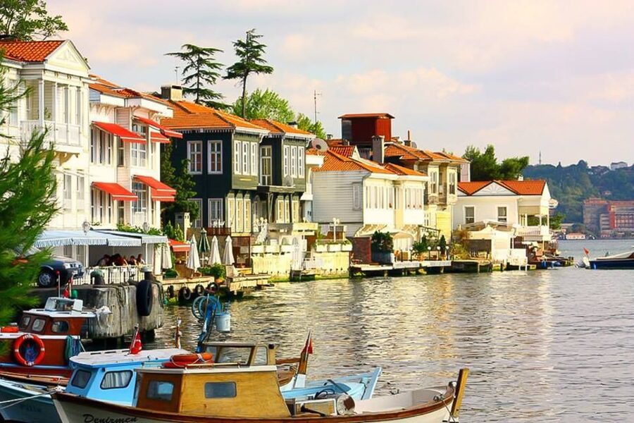 From Istanbul: Full-Day Princes Island Tour with Lunch - Büyükada: mansions, hills, and free time