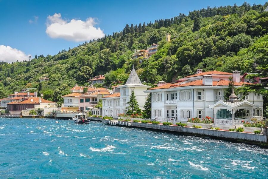From Istanbul: Full-Day Princes Island Tour with Lunch - What your guide adds to an independent day