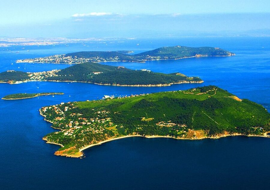 From Istanbul: Full-Day Princes Island Tour with Lunch - Best time to go