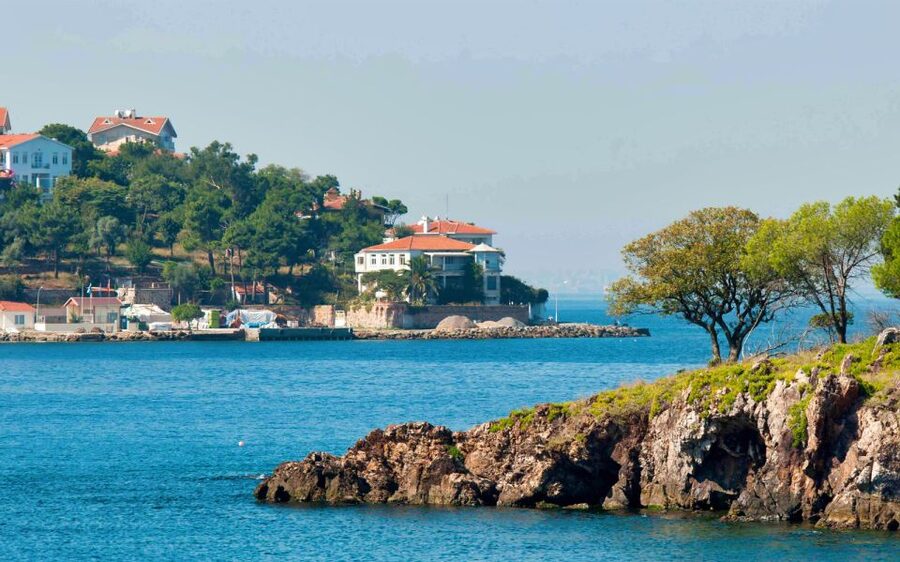 From Istanbul: Full-Day Princes Island Tour with Lunch - Should you book the Princes Island tour?