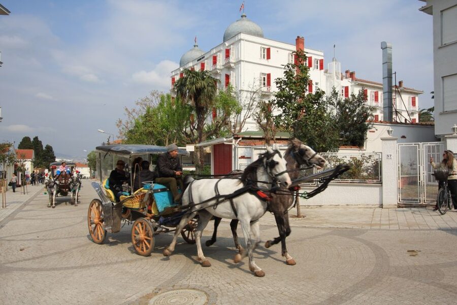 From Istanbul: Full-Day Princes Island Tour with Lunch - Lunch on the water, with seasonal changes