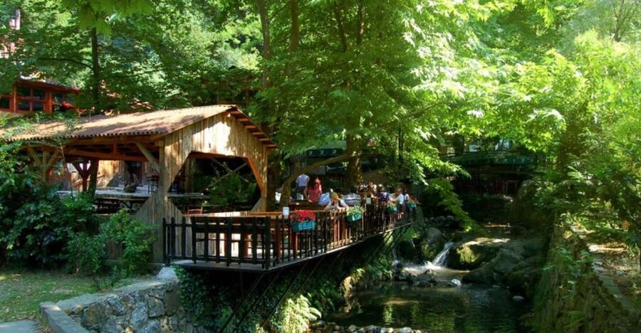 From Istanbul: Guided Day Trip to Sapanca and Masukiye - What to expect at Sapanca Zoo