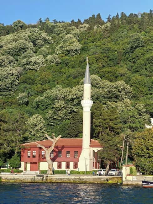 From Istanbul: Guided Europe and Asia Tour by Bus and Boat - Guides, language, and organization