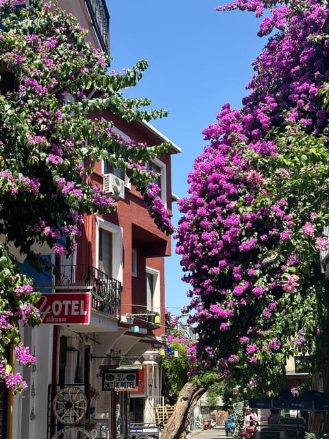 From Istanbul: Princess Islands Guided Tour - What the $24 price really gets you