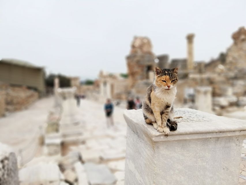 From Istanbul: Private Guided Day Trip to Ephesus with Lunch - The early Istanbul pickup and flight to Izmir